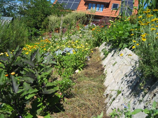 Auch die Wege sind gemulcht