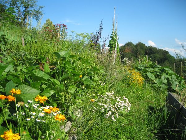 Wildes Paradies (oder faule Gärtner)