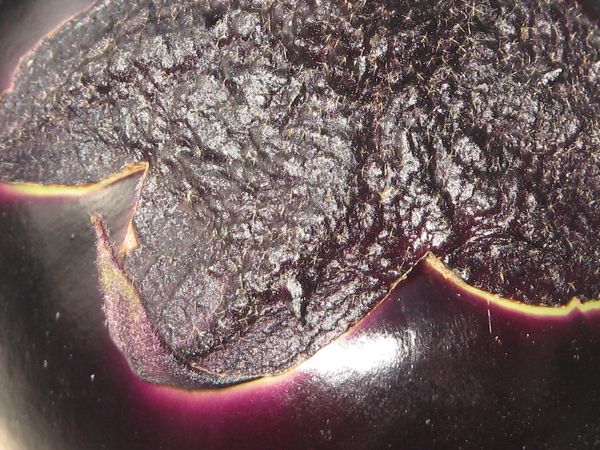 Auberginen-Detail