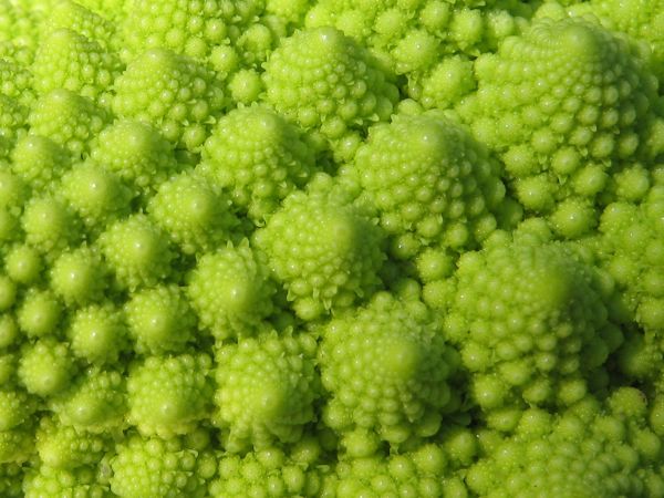 Romanesco