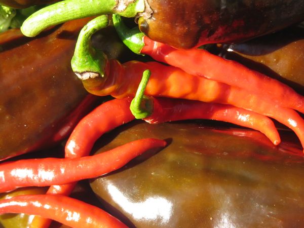 Cayenne und Peperoni Sweet Chocolate