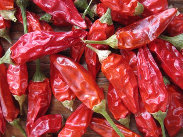 Trockene Peperoncini