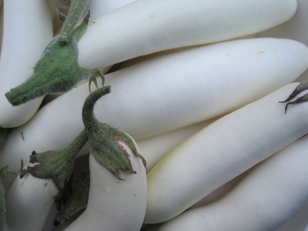 Frisch geerntete Früchte für die Küche