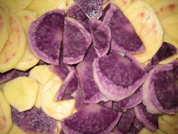 Blaue Schweden und Roseval