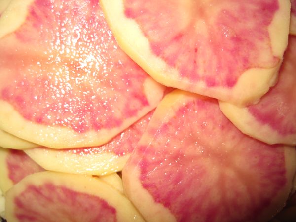 Eine besonders rote Roseval